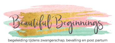 Beautiful Beginnings Logo